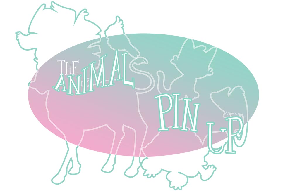 The Animals Pin Up